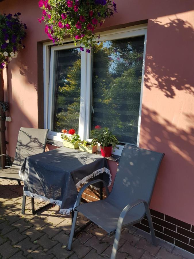 Apartment Lavender Jelenia Gora