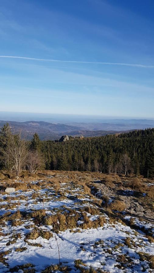 Lavender Jelenia Gora